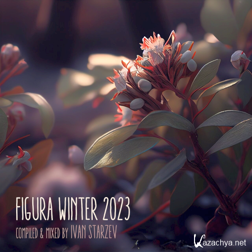 Figura Winter Figura Music (2023)