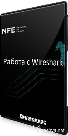   Wireshark (2023) 