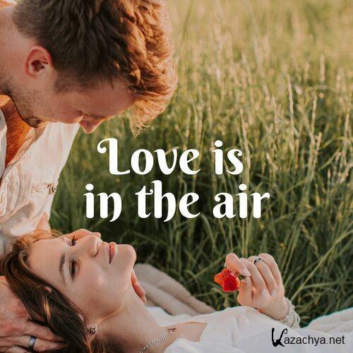 Various Artists - Love is in the air (2023) 