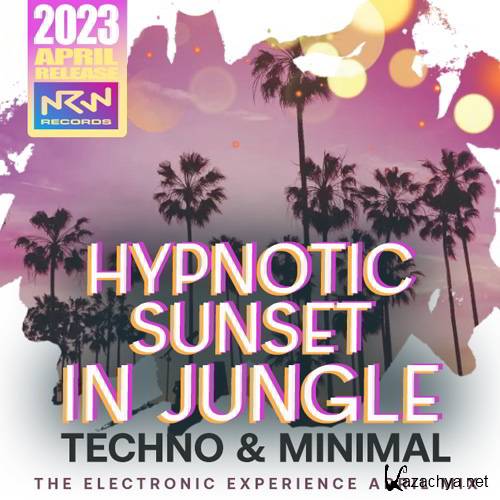 Various Artists - Techno Hypnotic Sunset (2023)