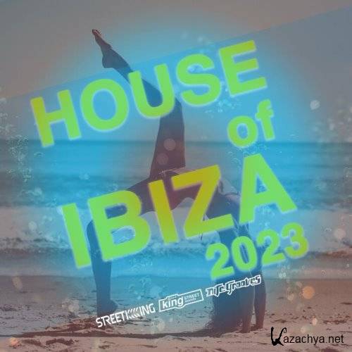 VA - House Of Ibiza 2023 (2023)