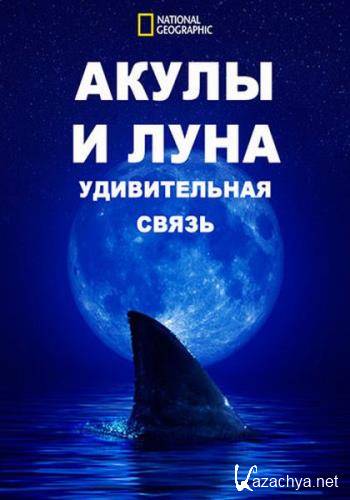Акулы и Луна - удивительная связь / Shark Side of the Moon (2022) WEB-DL 1080p