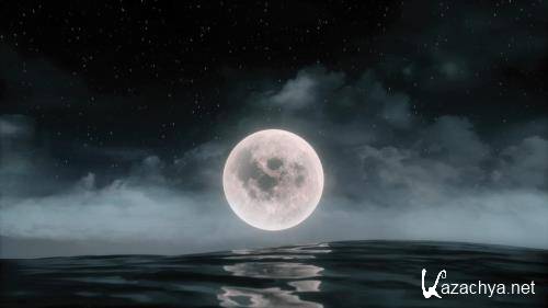 Акулы и Луна - удивительная связь / Shark Side of the Moon (2022) WEB-DL 1080p Акулы и Луна - удивительная связь / Shark Side of the Moon (2022) WEB-DL 1080p