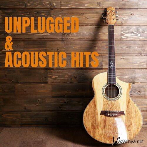 Unplugged & Acoustic Hits (2023)