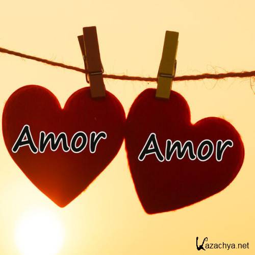 Various Artists - Amor Amor Hits (2023)