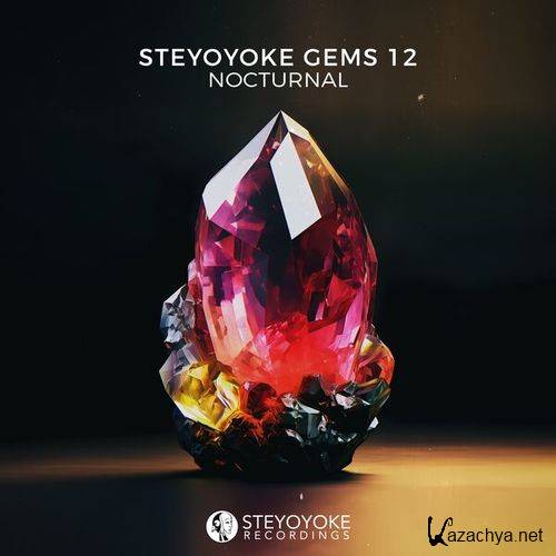 Steyoyoke Gems Nocturnal 12 (2023) FLAC