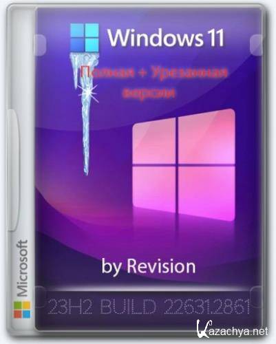 Windows 11 Pro 23H2     (22631.2861) by Revision (2023/RU)