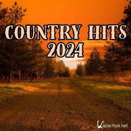 VA - Country Hits (2024)