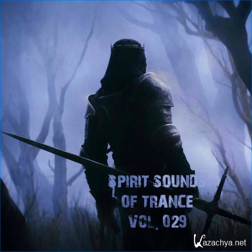 Various Artists - Spirit Sounds Of Trance Vol 29 (Extended Mixes)