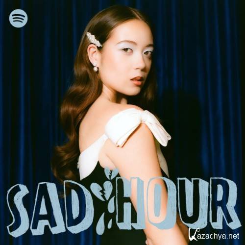 Various Artists - sad hour (2024)