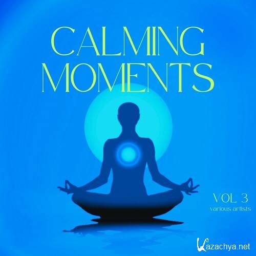 Calming Moments Vol.3 (2024) FLAC