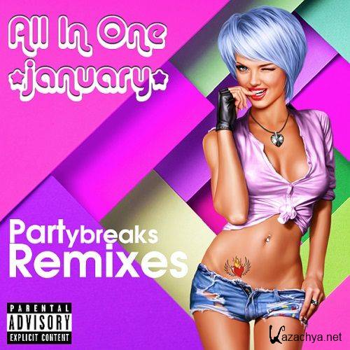 All In One Partybreaks and Remixes (January 2024 Part 2) (2024)