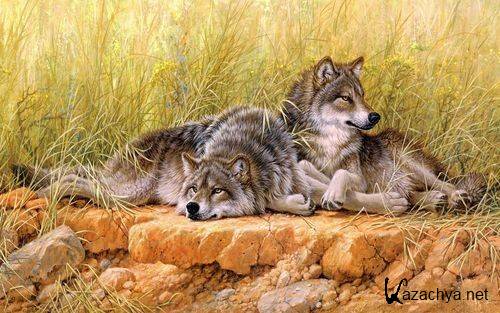 Wallpapers Mix �1908