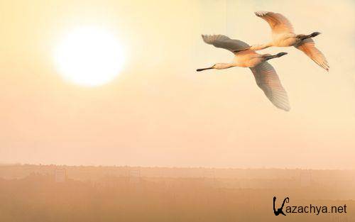 Wallpapers Mix №1912 Wallpapers Mix №1912