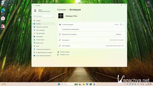 Windows 11 Pro 24H2 Build 26100.3476 Full ���� 2025 (RUS/2025)
