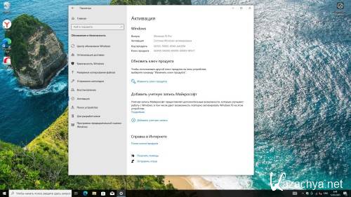 Windows 10 Pro 22H2 Build 19045.5608 Full ���� 2025 (RUS/2025)