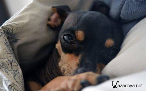 Wallpapers Mix �1942