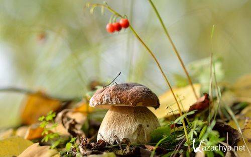 Wallpapers Mix �1945