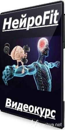 НейроFit (Ольга Бульбенова) (2025) Видеокурс НейроFit (Ольга Бульбенова) (2025) Видеокурс