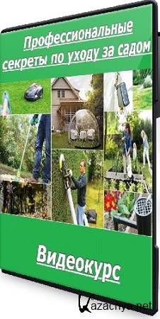 ������ ���������� - ���������������� ������� �� ����� �� ����� (2024) ���������