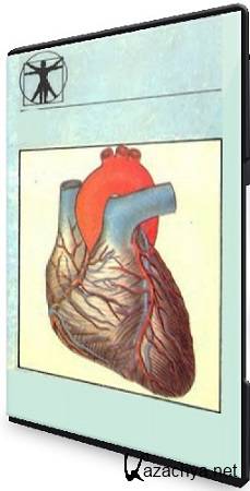   -     ? (5 ) (2025) WEBRip