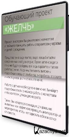 �������� ��������� - ������ ����� (2024) CAMRip