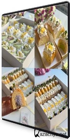 ����� ��������� - ���������� ������� (2025-2026) ���������